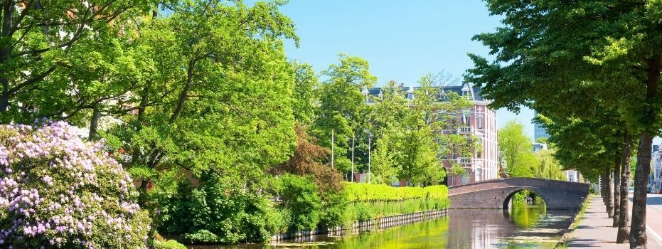 'Een boom is een boom. Hoeveel meer heb je nodig om naar te kijken?'