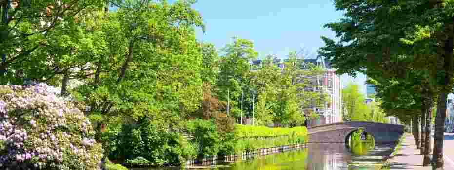 'Een boom is een boom. Hoeveel meer heb je nodig om naar te kijken?'