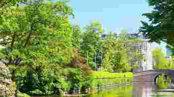 'Een boom is een boom. Hoeveel meer heb je nodig om naar te kijken?'