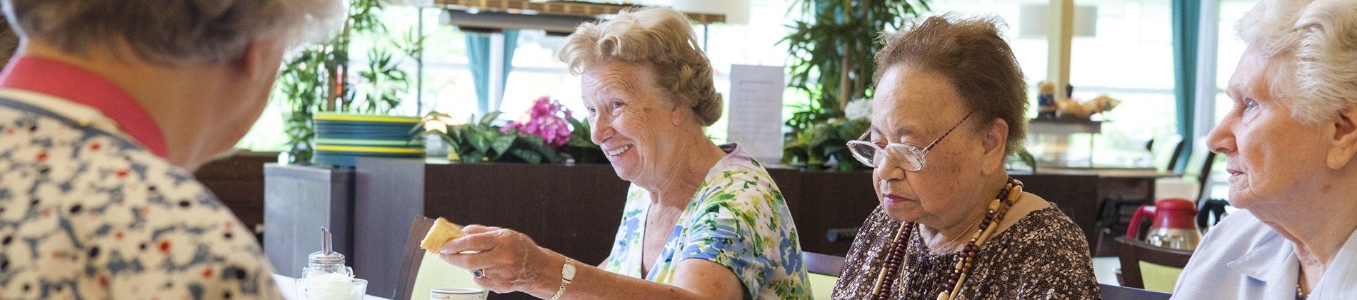 Vrijwilliger huiskamer, Houthaghe