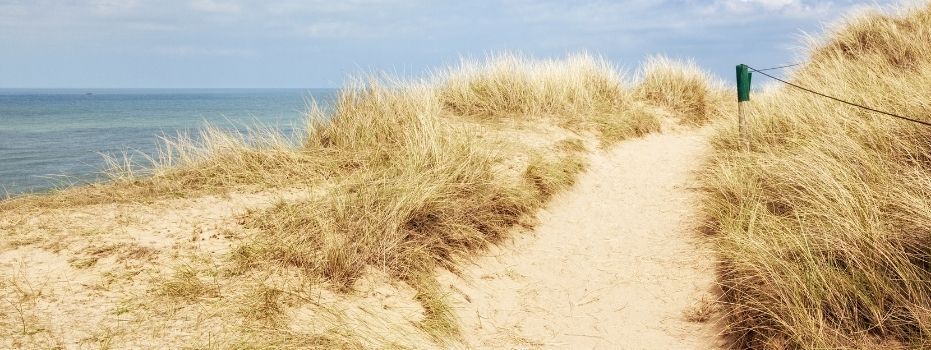 Bloei je helemaal op bij vrijwilligerswerk in de natuur?