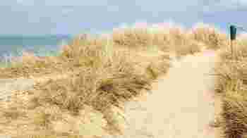 Bloei je helemaal op bij vrijwilligerswerk in de natuur?