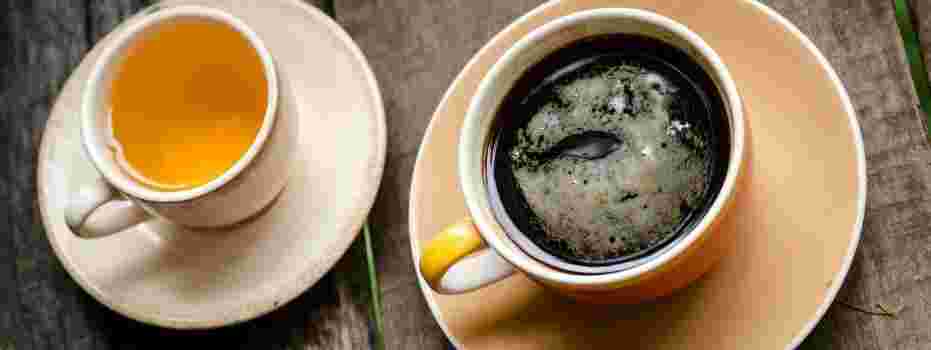 Gastvrouw/heer voor gezellig gesprek en persoonlijke aandacht .