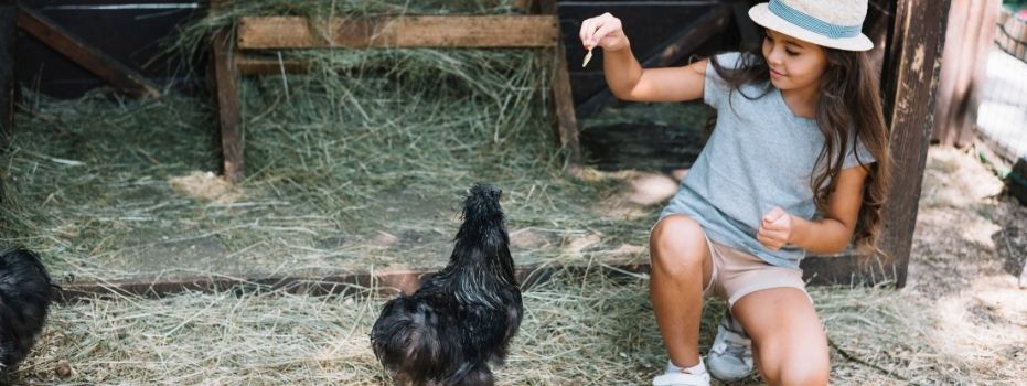 Ben jij 'n kei in denken, meedenken, nadenken en uitvoeren? Dan zoeken we jou!