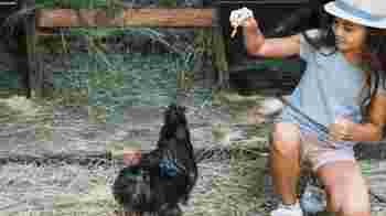 Ben jij 'n kei in denken, meedenken, nadenken en uitvoeren? Dan zoeken we jou!