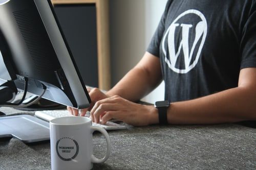 Wordpress webdeveloper to make website stable