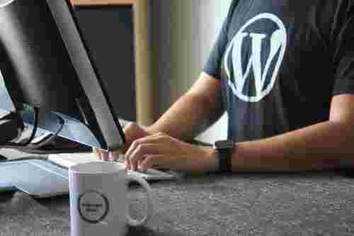 Wordpress webdeveloper to make website stable