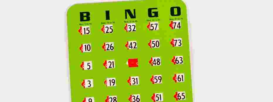 Hulp bij de bingo gezocht! (Locatie Ametisthorst)