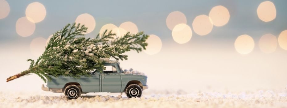 🎄Warm Winter Weeks: Clearing out Christmas decorations at Cardia Landscheiding