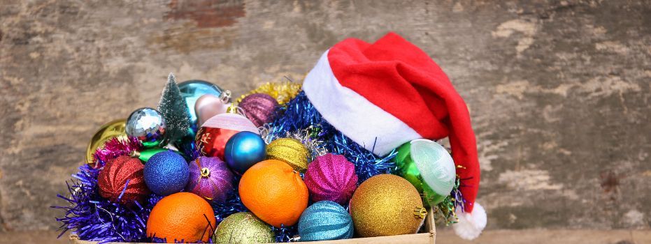 🎄Warm Winter Weeks: Clearing out Christmas decorations at HWW de Eshoeve