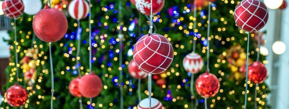 🎄Warm Winter Weeks: Hanging Christmas decorations at HWW Houtwijk