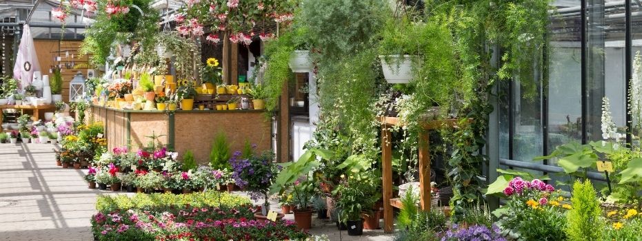 Ik wil graag bij het tuincentrum een bakkie koffie drinken. Jij ook?