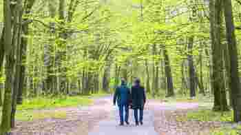 Wandelmaatje gezocht bij Saffier, locatie Nebo!