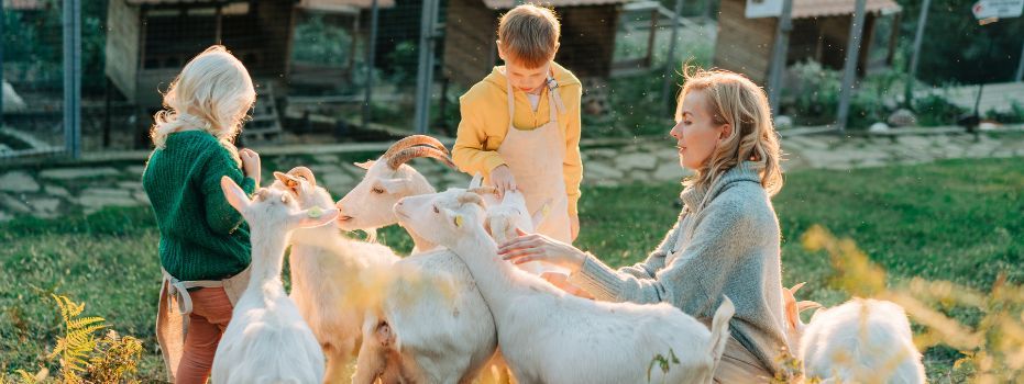 Dierenvriend gezocht voor Sam (2 jaar met autisme)