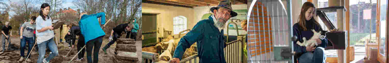 Vrijwilligerswerk in Leidschenveen-Ypenburg Vrijwilligerswerk in Leidschenveen-Ypenburg