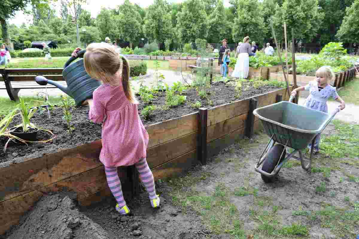 Handige timmerman/vrouw/groep