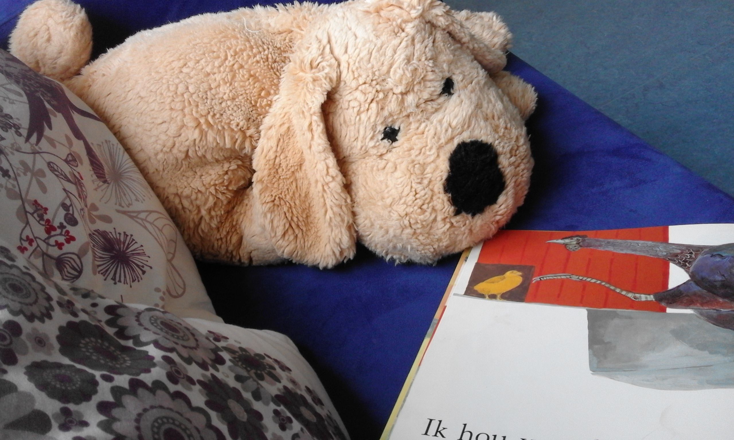 Jij maakt het verschil als Vrijwilliger bij Het Ontmoetingshuis!