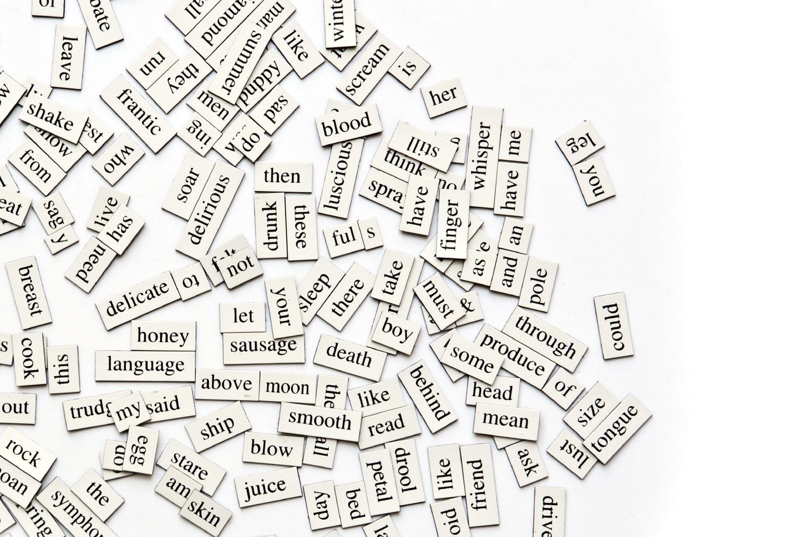 Destiny Life Academy De kracht van Woorden