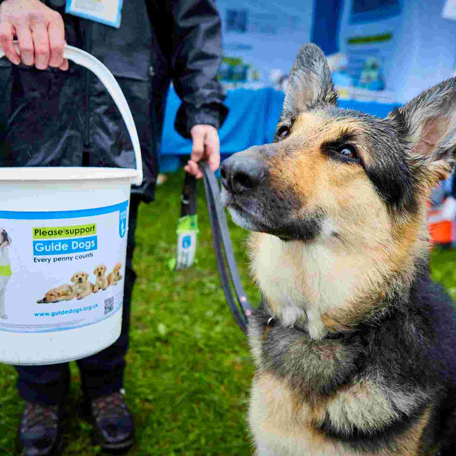 Deputy Fundraising Group Coordinator