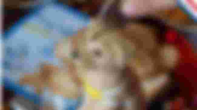 Collection Box Coordinator