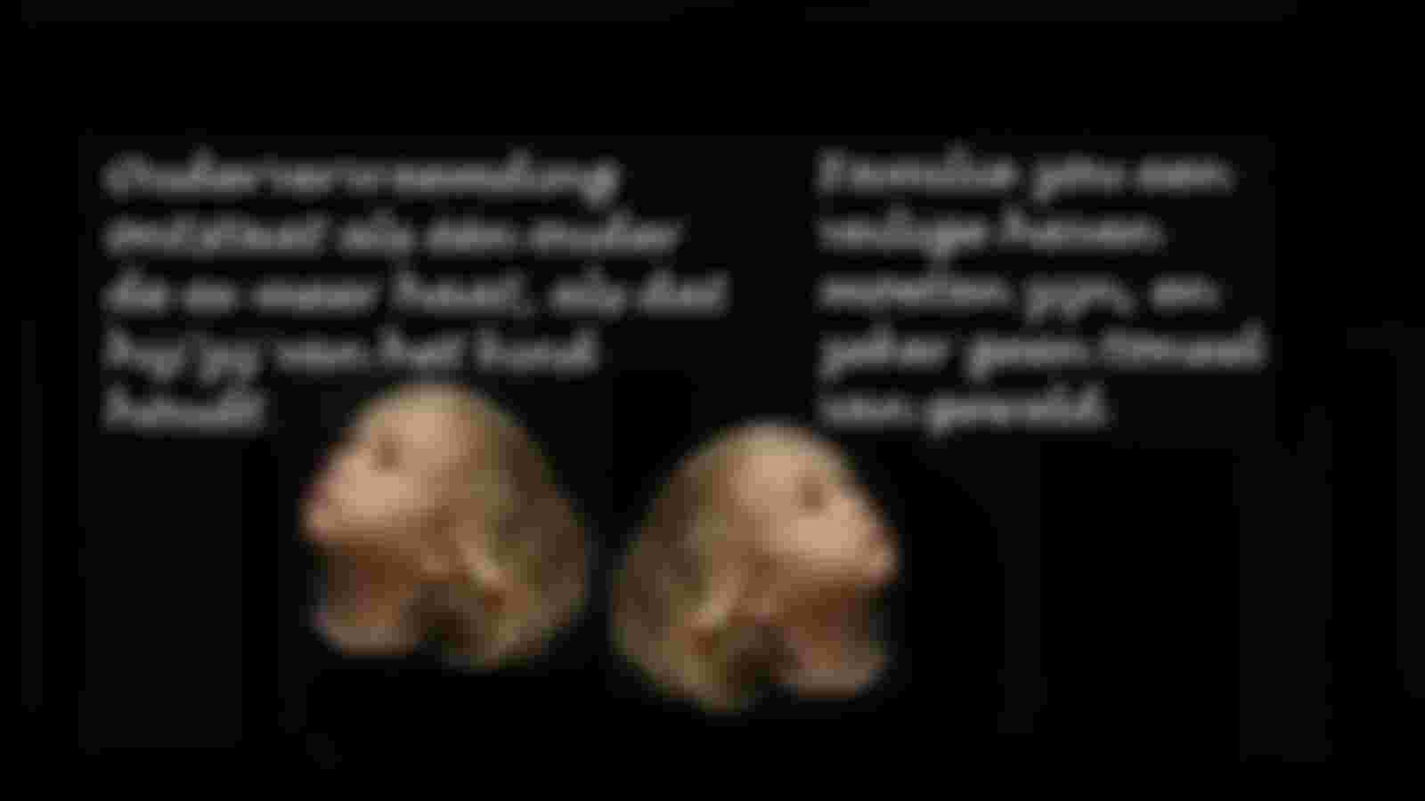 Social media medewerker  