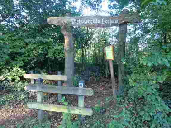 Excursie in de natuurtuin met IVN