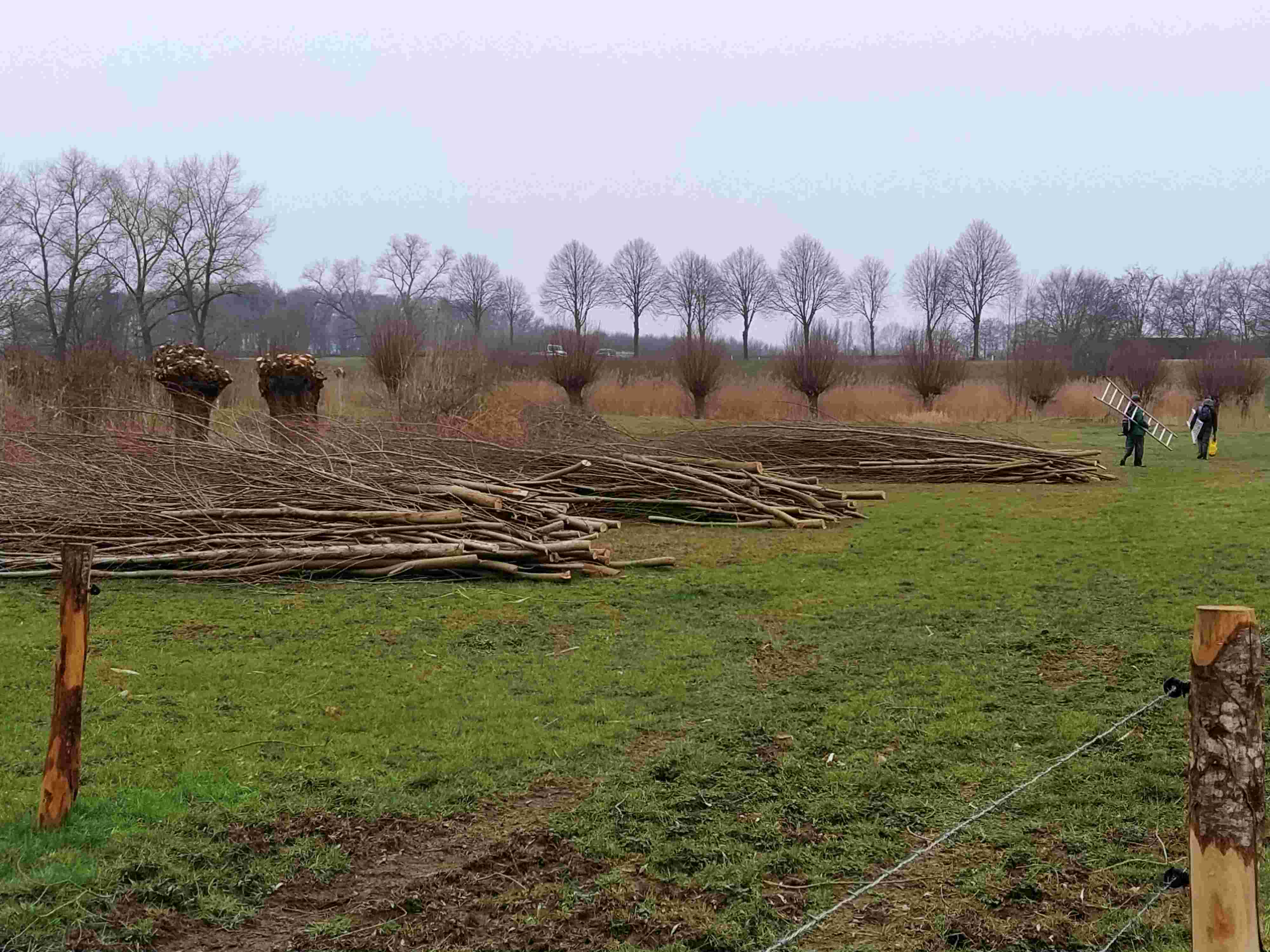 Als vrijwilliger wekelijks in de natuur aan de slag