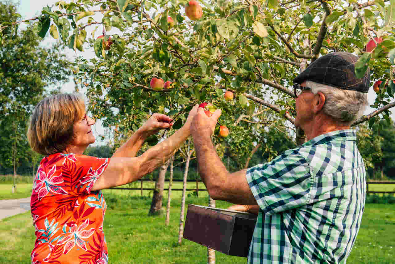 Met een glimlach achter het stuur.