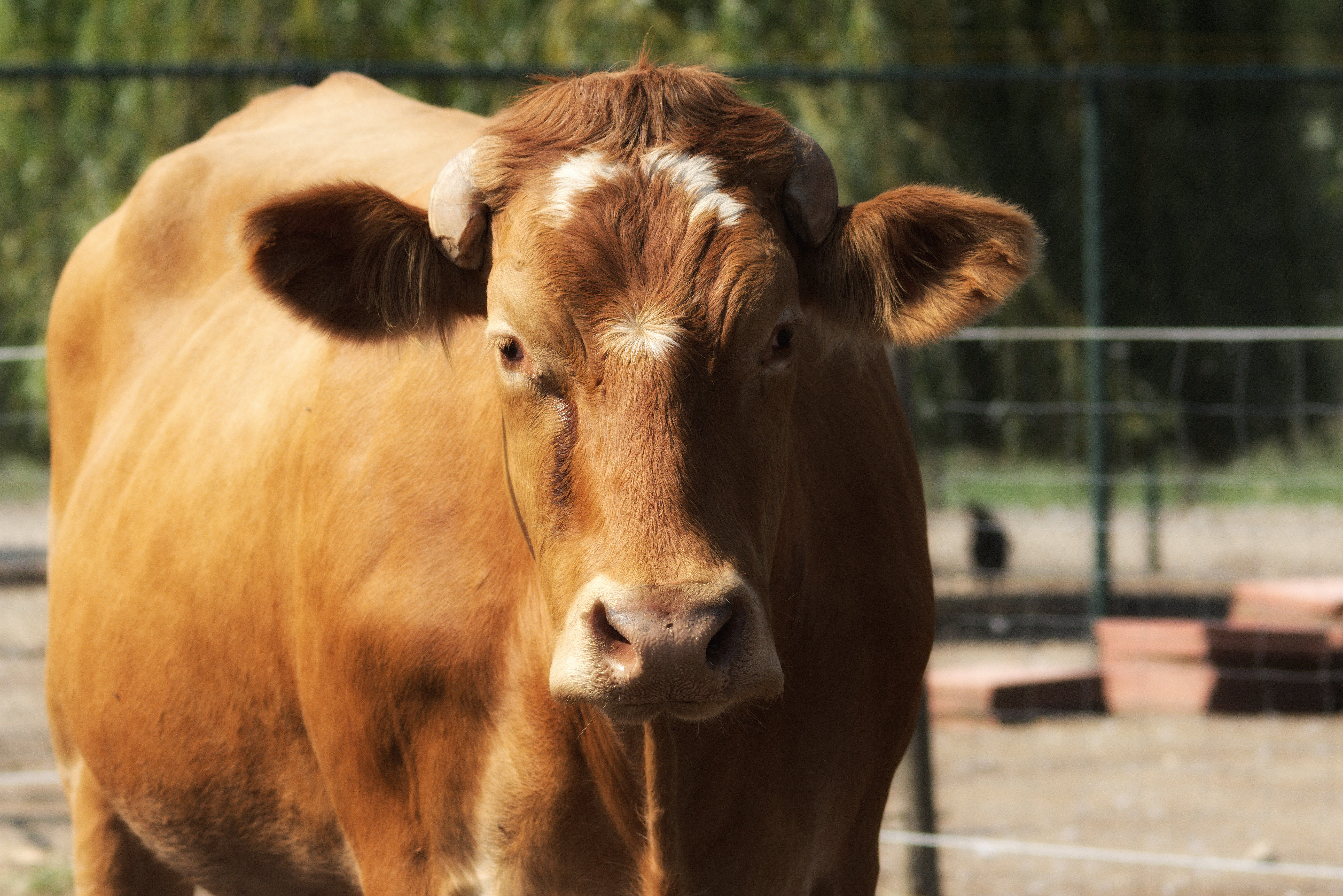 CAMPAGNECOÖRDINATOR GEZOCHT VOOR BITE BACK