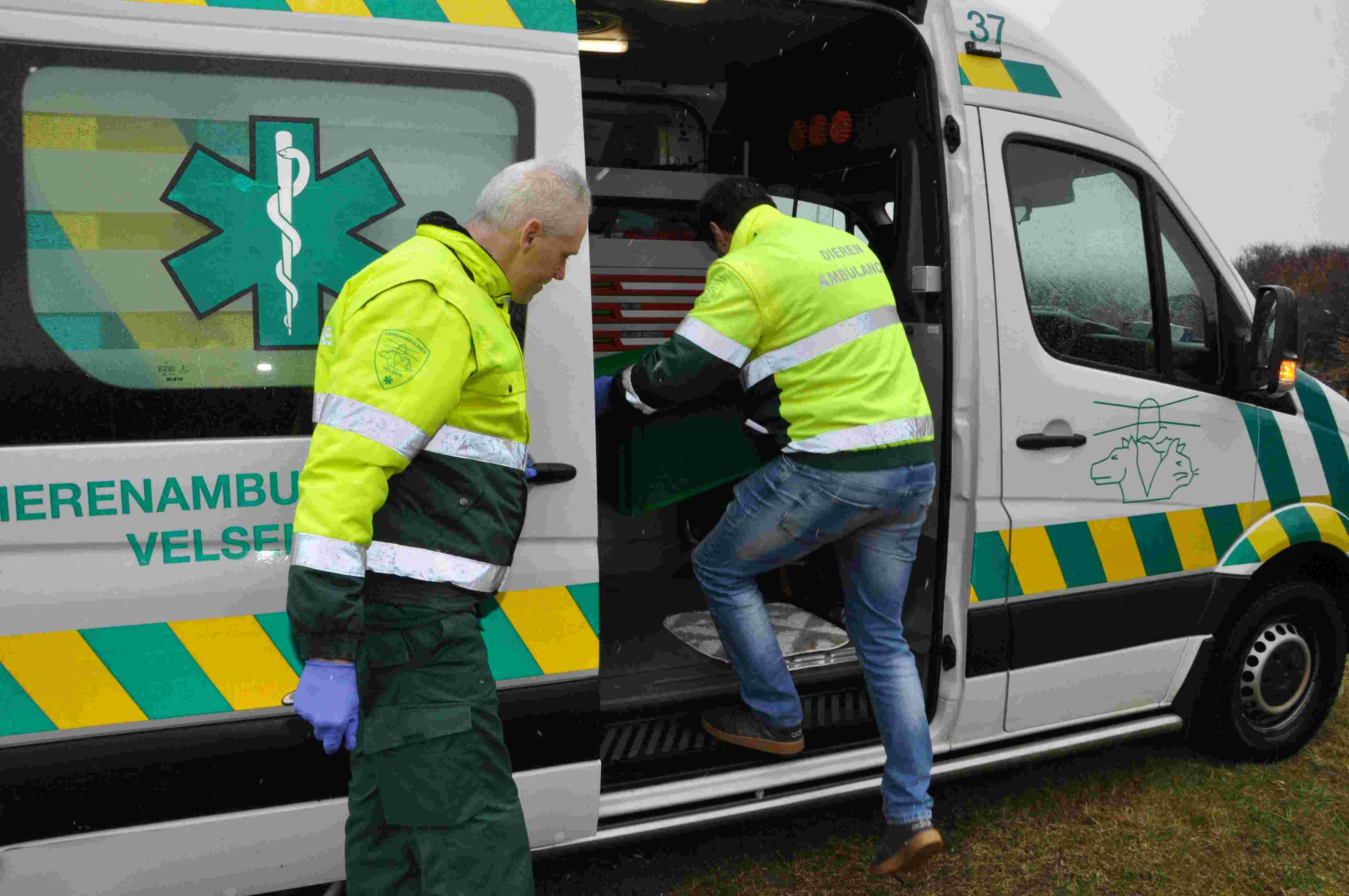 Lorem ipsum Lorem ipsum