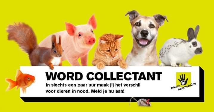 Collectanten gezocht 