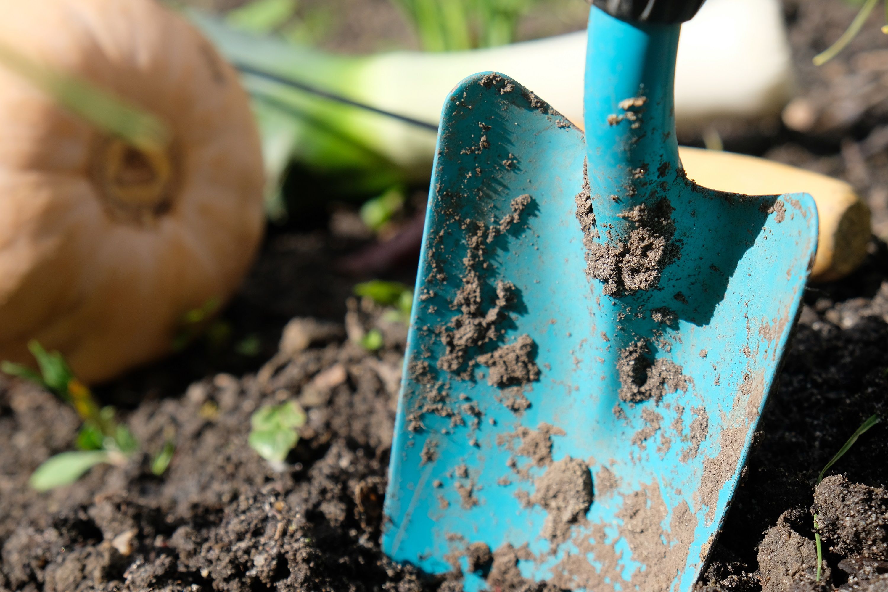 Vrijwilliger gevraagd voor kweekkas