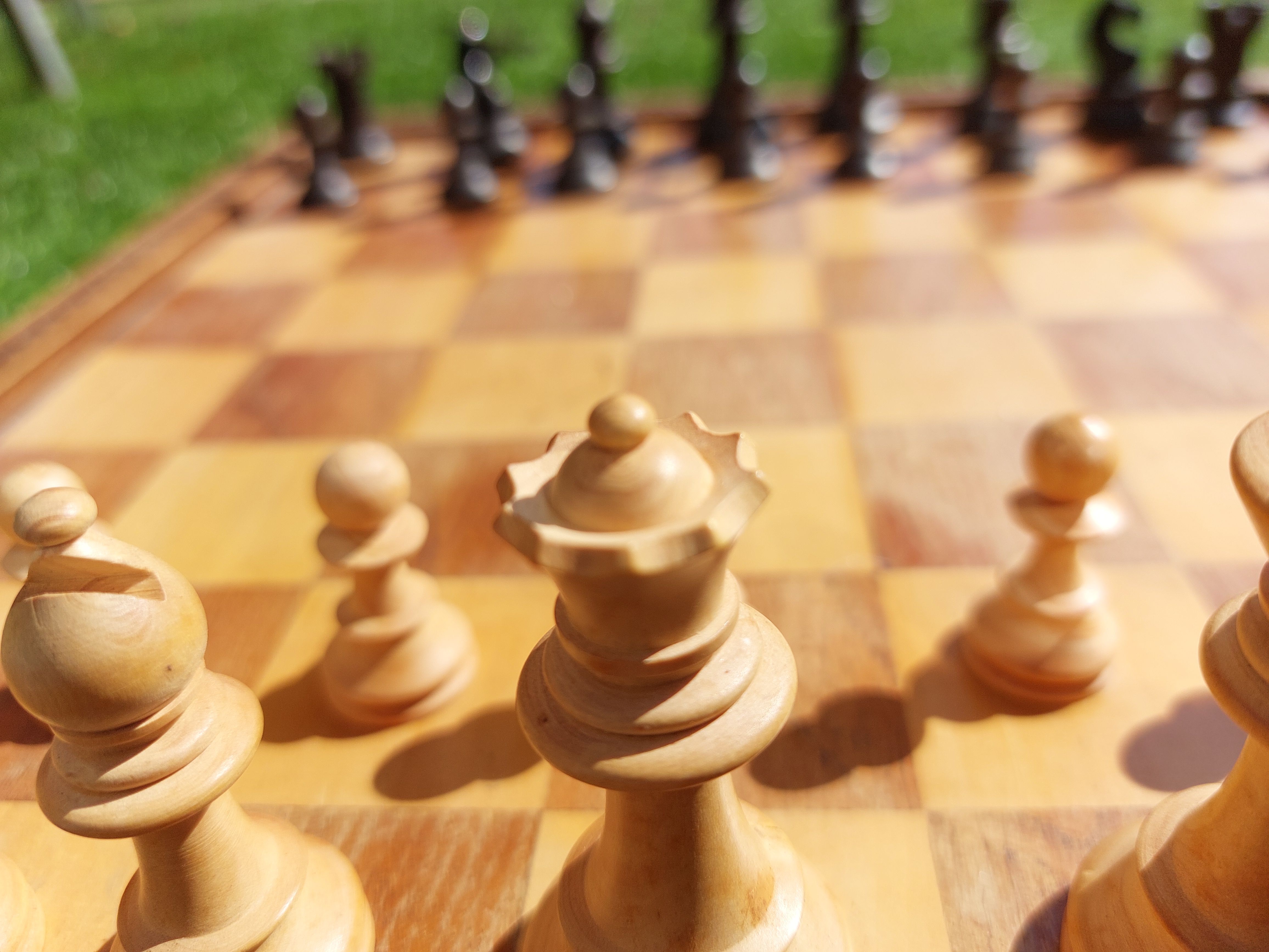 Schaakma(a)tje gevraagd