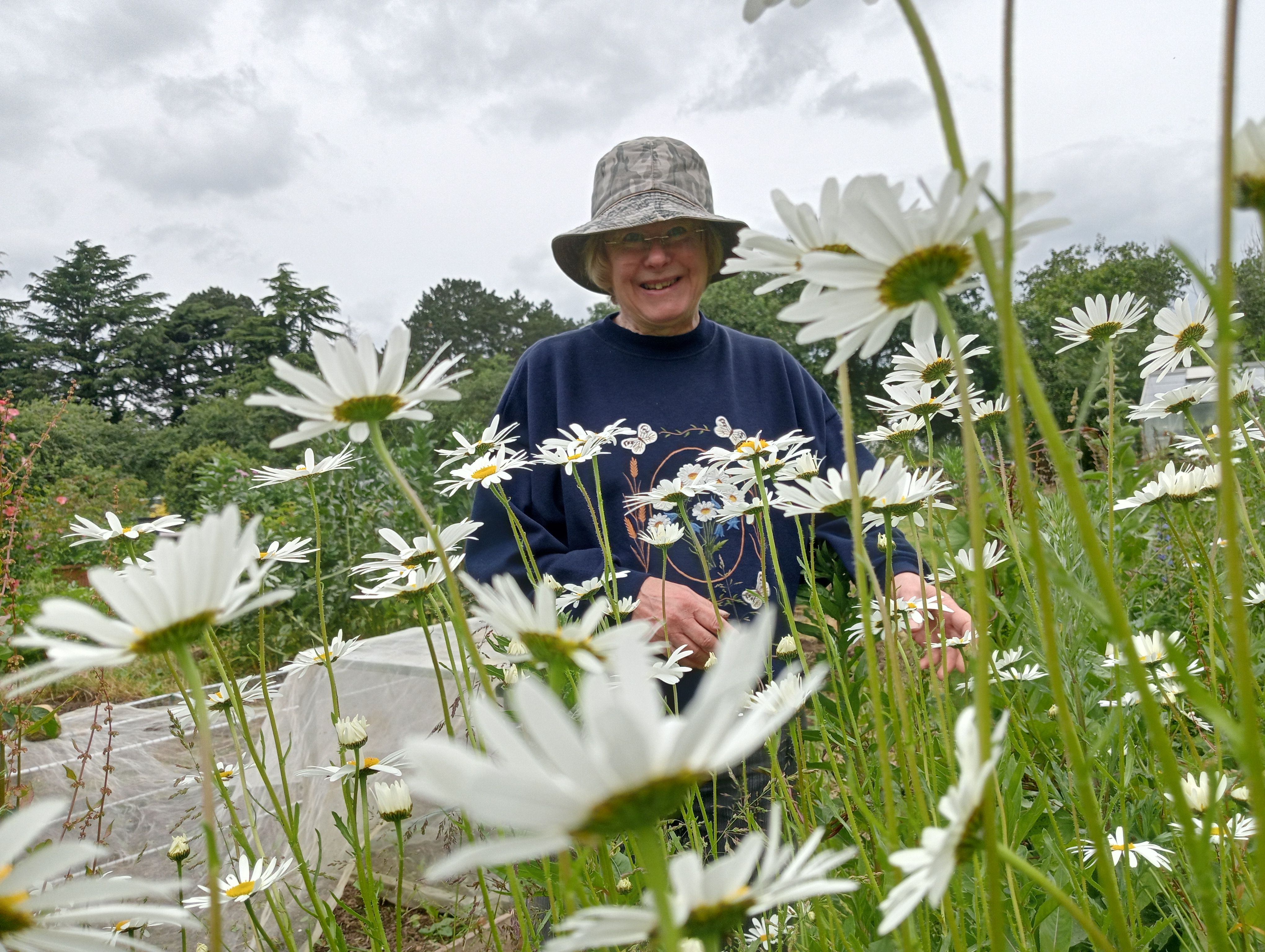 Peta Gardening Volunteer for Growing People wearing a hat and smiling among large daisies