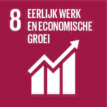 SDG 8: Eerlijk Werk en Economische Groei