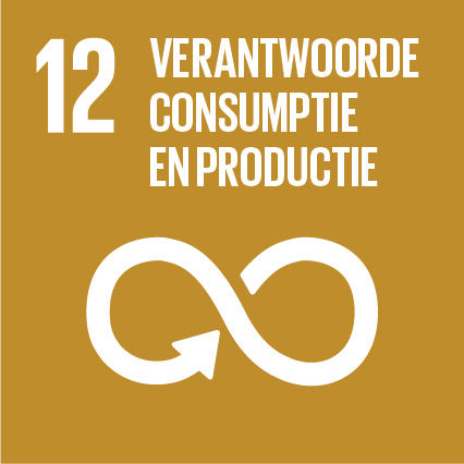 SDG 12: Verantwoorde Consumptie en Productie