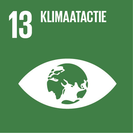 Doel 13: Klimaatactie