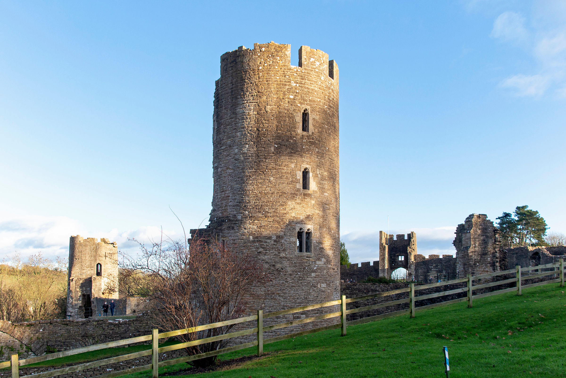 Meet and Greet Volunteer
