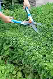 Handige tuinman gezocht voor een gezin in Zwaag