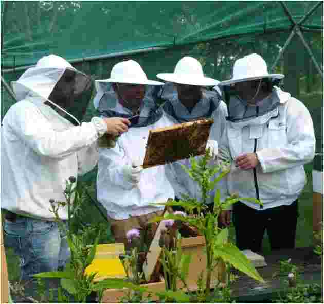 Juridisch advies bestuursrecht