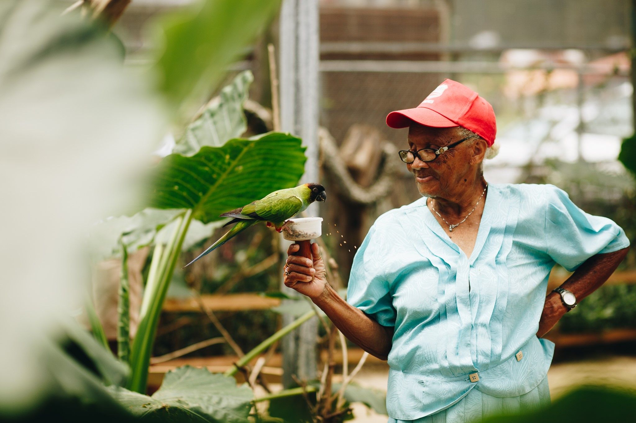 Create a volunteering opportunity