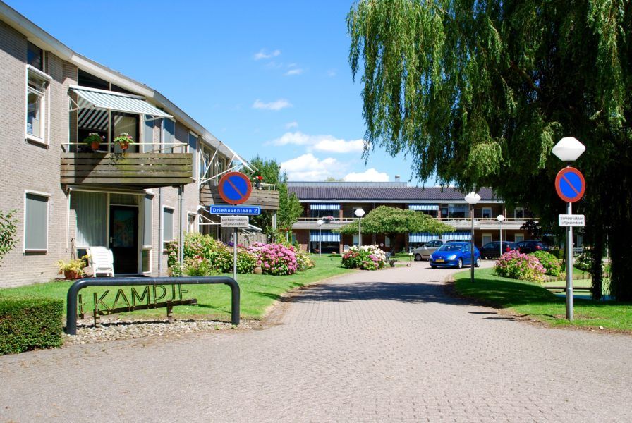 Vrienden voor het leven - maatjesproject