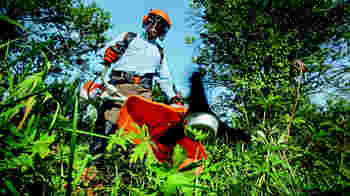 Wil jij je steentje bijdragen aan onze stadstuin?