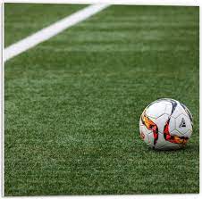 Medewerker onderhoud park