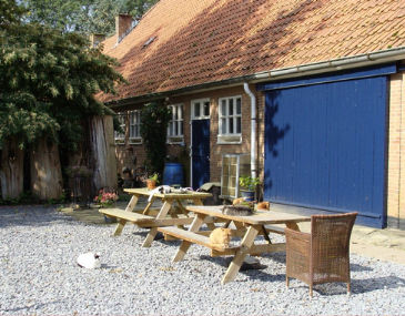 Gastgezinnen en huisbezoekers gezocht voor dierenherplaatsing