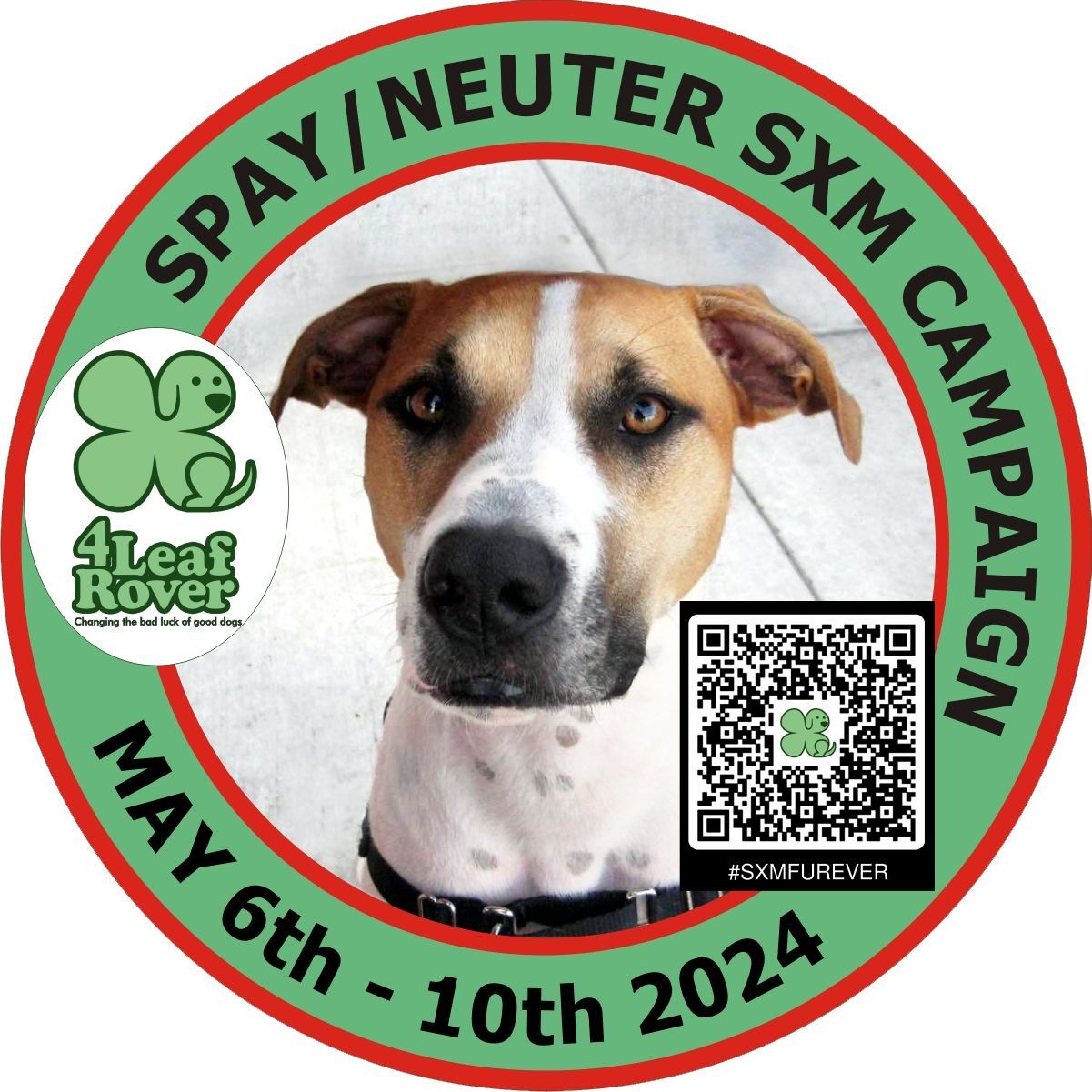Spay & Neuter Campaign- May 2024
