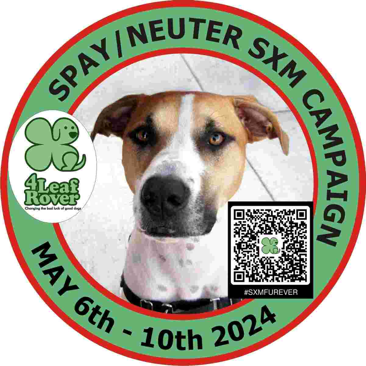 Spay & Neuter Campaign- May 2024