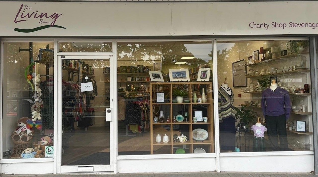Director (Trustee) - Charity Shop