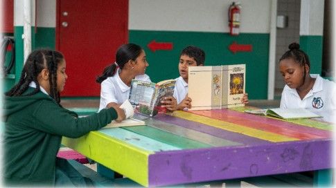 Reading Festival of Sint Maarten Volunteers needed