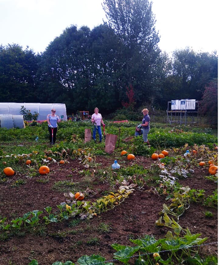 Horticulture help volunteers